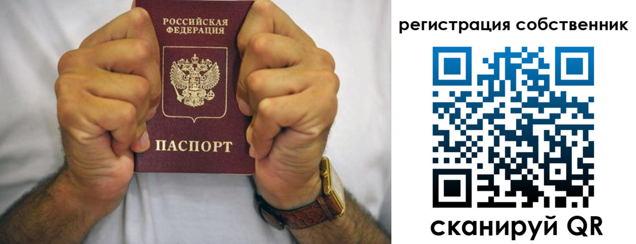временная регистрация в Ельне